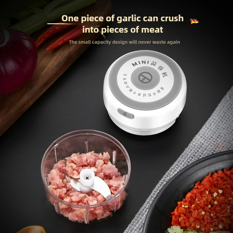 Electric Mini Garlic Chopper 1 - Baby Food Vegetables ulasan dan harga