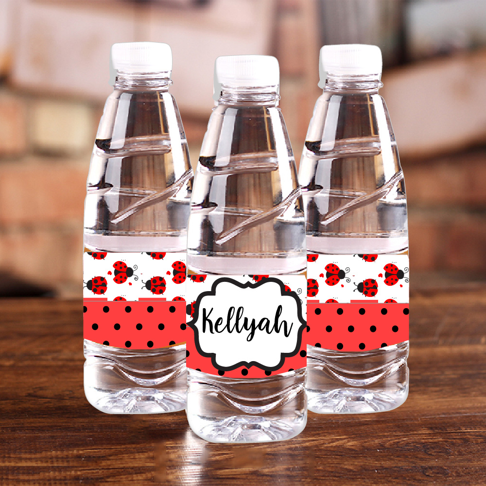 Personalised Ladybug Red Polka - Baby Food Ideas ulasan dan harga
