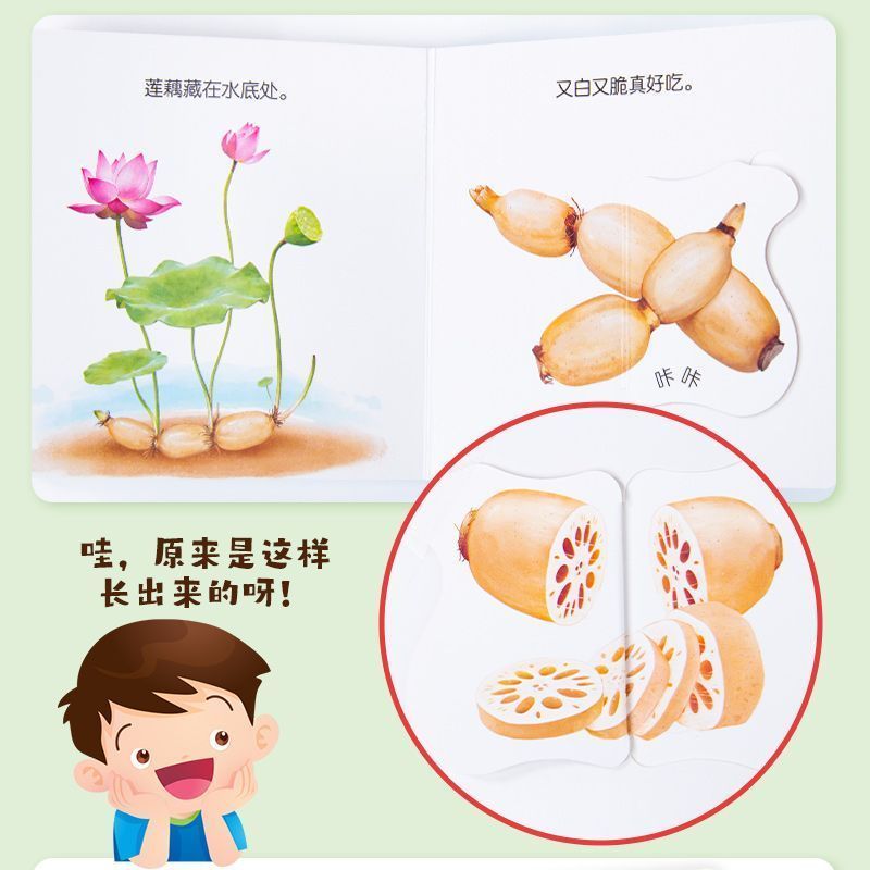 Infant Food Education Flipbook - Baby Food Year Old ulasan dan harga