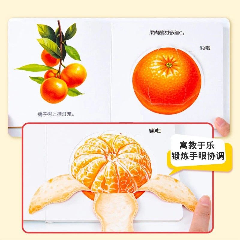 Infant Food Education Flipbook - Baby Food Year Old ulasan dan harga